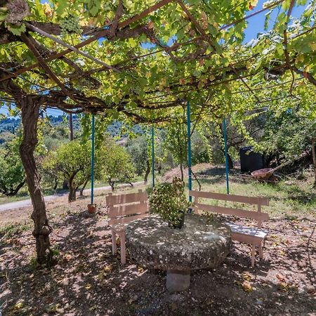 Amalia Country House Ano Yerakarion Екстер'єр фото